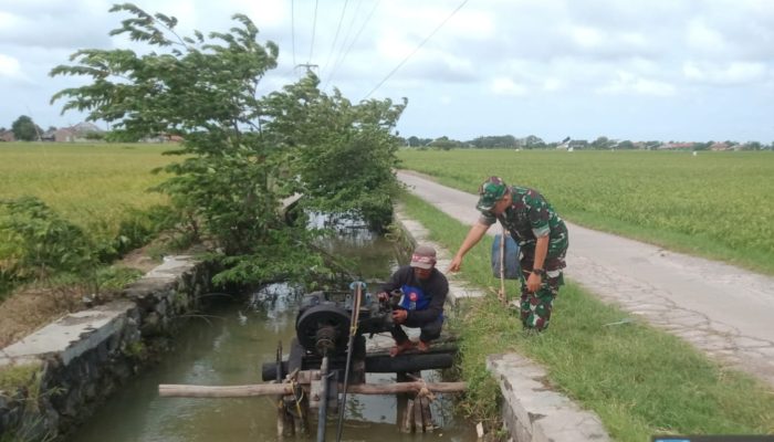 Bantu Petani Terkait Kebutuhan Air, Babinsa Koramil 1602 Sindang Melaksanakan Pendampingan Pompanisasi