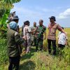Distan Survei Lokasi Irpom Banpem Pusat Kerjasama TNI AD dengan Kementan RI