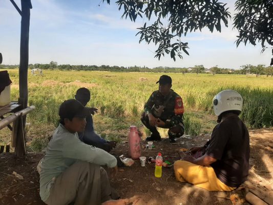 Komsos Babinsa Serda Rosid Anggota Koramil 1604/Jatibarang Bersama Masyarakat Desa Krasak