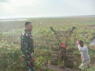 Sukseskan Swasembada Pangan, Babinsa Koramil 1605 Sukagumiwang Komsos Bersama Petani