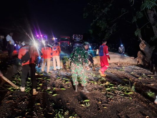 Gercep Koramil 1611 Losarang Bantu Evakuasi Pohon Randu Roboh Tutupi Jalan Pantura Desa Jumbleng