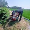 Babinsa Koramil 1611 Losarang Monitoring Dan Pendampingan Pertanian pompanisasi di Blok Rancagunda