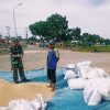 Babinsa Koramil 1611 Losarang Monitoring Dan Pendampingan Pertanian di Blok Rancagunda Desa Jangga