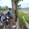 Babinsa Koramil 1605 Sukagumiwang Monitoring Dan Pendampingan Pengolahan Lahan Sawah