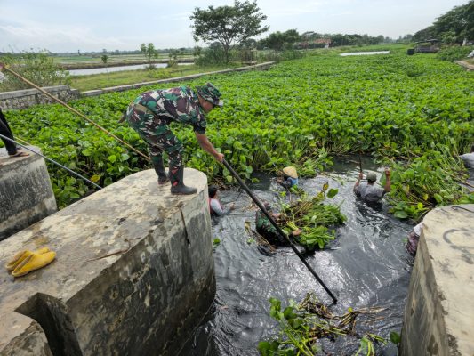Aksi Nyata TNI, Danramil 1603 Lohbener Bersama Anggota Menggelar Gotong Royong Pembersihan Ecenggondok