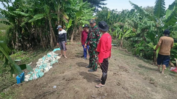 Koptu Wisnu Anggara Anggota Koramil 1611/Losarang Laksanakan Komsos Bersama Petani Desa Jangga
