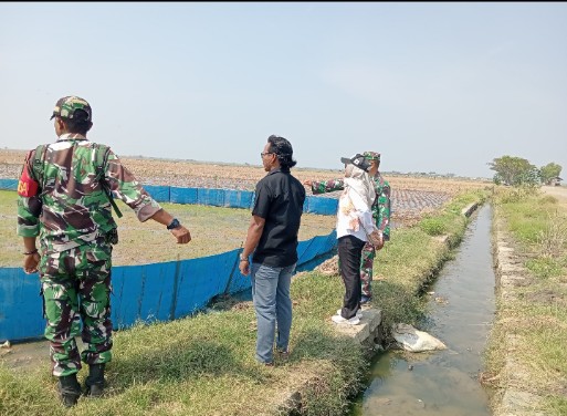 Koramil 1603 Lohbener Laksanakan Pendampingan Pertanian MT 2 Terkait Suplai Air Me Lahan Sawah