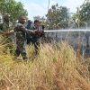 Kebakaran Lahan Hutan di Blok Cipondoh Cikawung Berhasil Dipadamkan, TNI dan Perhutani Bergerak Cepat