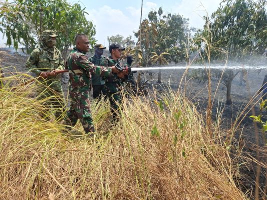 Kebakaran Lahan Hutan di Blok Cipondoh Cikawung Berhasil Dipadamkan, TNI dan Perhutani Bergerak Cepat